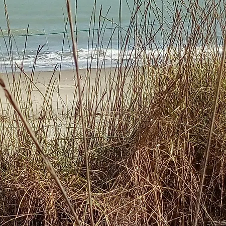 Rosa & Cosetta Hotell Casal Borsetti