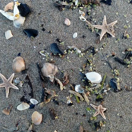 Hotell Rosa & Cosetta