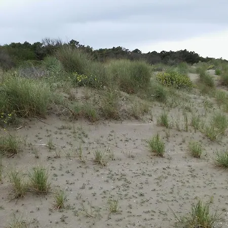 Hotell Rosa & Cosetta *