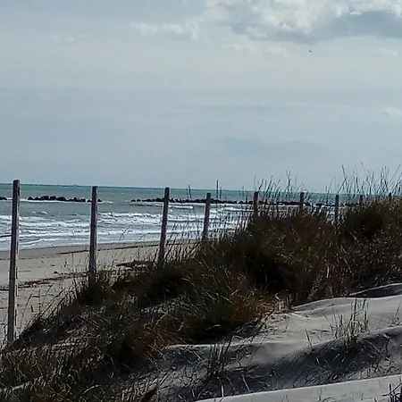 Rosa & Cosetta Casal Borsetti