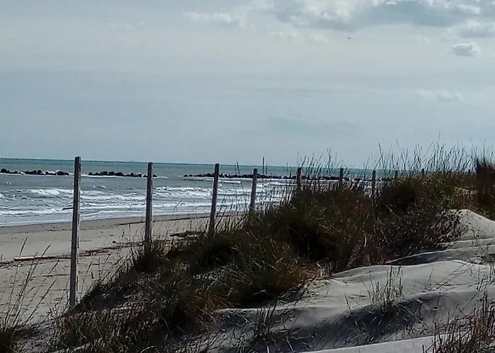 Rosa & Cosetta Casal Borsetti