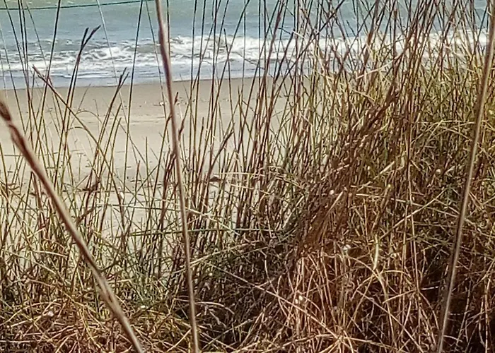 Rosa & Cosetta Hotel Casal Borsetti