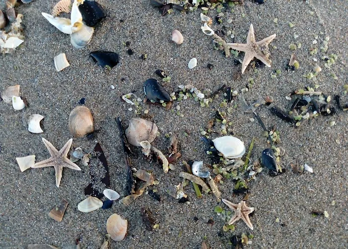 ホテル Rosa & Cosetta