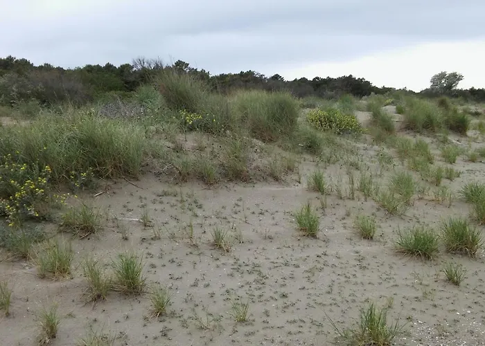 ホテル Rosa & Cosetta *